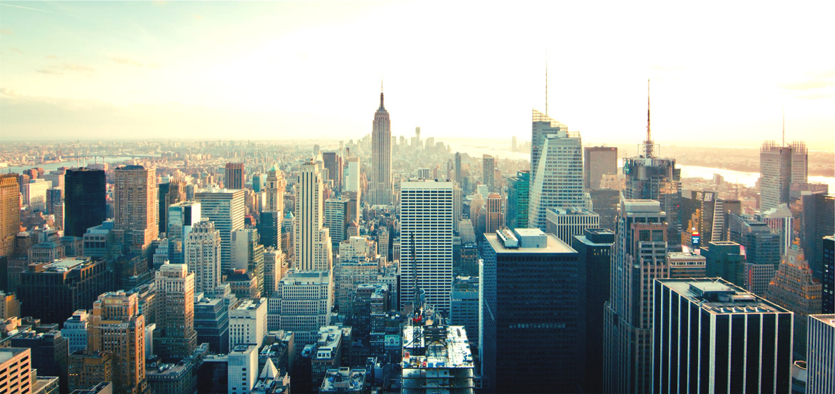 Asset Reconstruction  Companies (ARC)