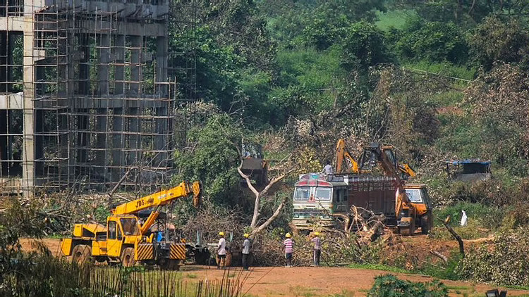 ‘Great victory for the people’: Lawyer who led fight for Aarey lauds shifting of Mumbai Metro shed